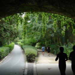 Chemin Vert - La Coulée Verte